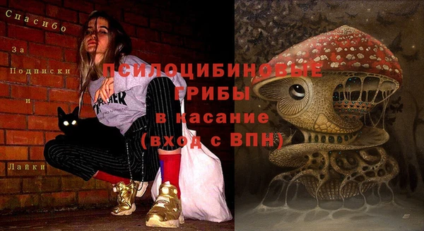 spice Волоколамск