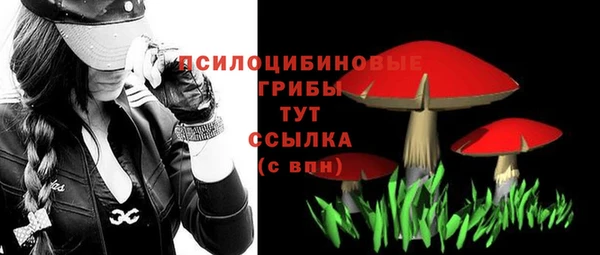 spice Волоколамск