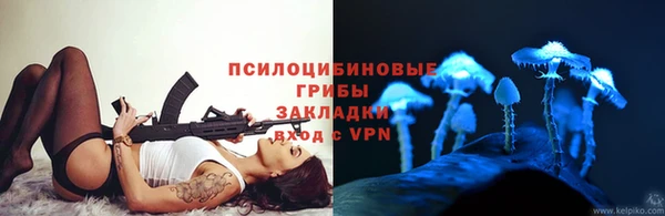 крисы Володарск