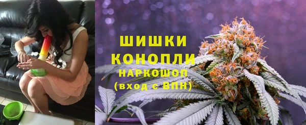 крисы Володарск