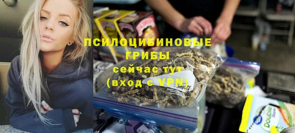 крисы Володарск