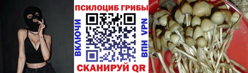 Галлюциногенные грибы Magic Shrooms  Домодедово 